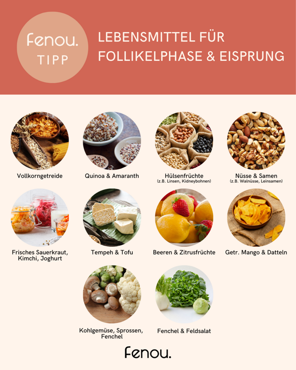 Supplements & Zyklusfood Ernhrung und Nhrstoffe fr einen gesunden Zyklus  und Kinderwunsch - Daysy
